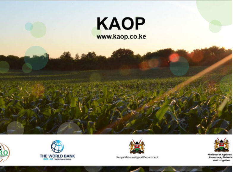 KAOP